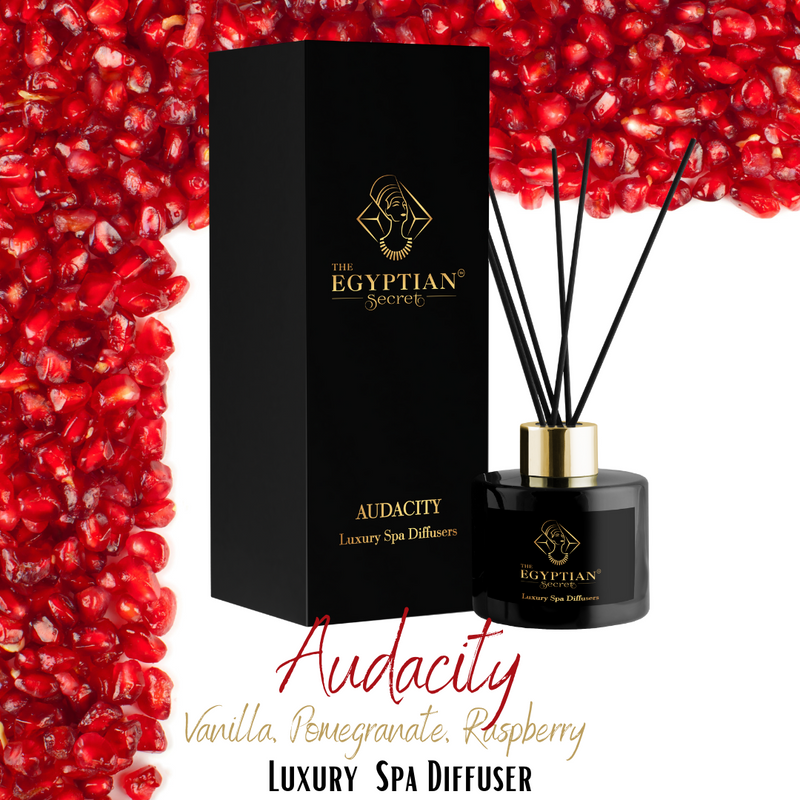 Audacity: Luxury Aromatherapy Spa Diffuser